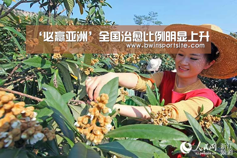 必赢官网直播