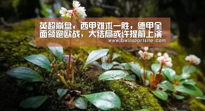 必赢亚洲