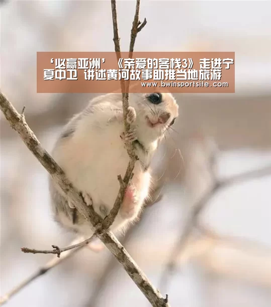 必赢官网