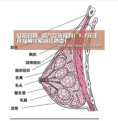 必赢官网